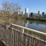 Photo n°4 - Louer un appartement 3 pièces<br/> de 70 m² à Nantes (44000)