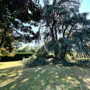 Photo n°9 - Acheter un appartement 4 pièces<br/> de 98 m² à Nantes (44300)