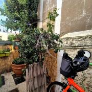 Photo n°12 - Acheter une maison 3 pièces<br/> de 60 m² à Nantes (44000)