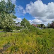 Photo n°1 - Acheter un terrain<br/> de 556 m² à La Chapelle Sur Erdre (44240)