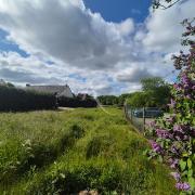 Photo n°13 - Acheter un terrain<br/> de 556 m² à La Chapelle Sur Erdre (44240)