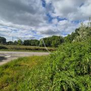 Photo n°10 - Acheter un terrain<br/> de 556 m² à La Chapelle Sur Erdre (44240)